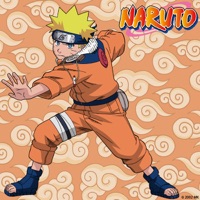 Télécharger Naruto, Arc 21 : Le village caché des étoiles Episode 6