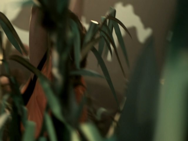 Jungle Drum