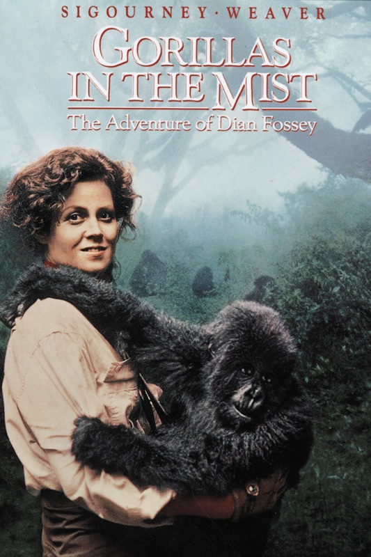 Gorillas In the Mist