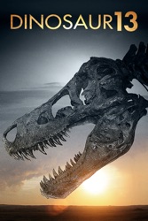 Dinosaur 13