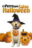 El perro que salvo Halloween (Doblada) - Peter Sullivan