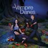 The Birthday - The Vampire Diaries