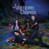 The Vampire Diaries, Season 3 - The Vampire Diaries Cover Art