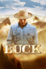 Buck - Cindy Meehl