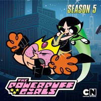 The Powerpuff Girls (Original), Season 5