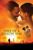 Half of a Yellow Sun - Biyi Bandele