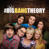 The Big Bang Theory - The Big Bang Theory, Season 8  artwork