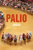 Palio - Cosima Spender