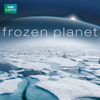 Frozen Planet - Frozen Planet Cover Art