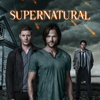 Dog Dean Afternoon - Supernatural