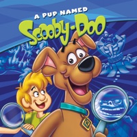 A Pup Named Scooby-Doo, Season 1