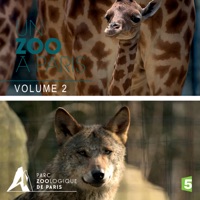 Télécharger Un zoo à Paris, Vol. 2 Episode 2