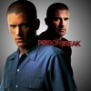 Evasion  Prison Break, Saison 1