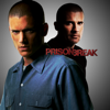 Prison Break, Saison 1 - Prison Break