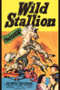 Wild Stallion - Lewis D. Collins