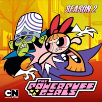 The Powerpuff Girls (Original), Season 2