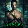 Arrow, Saison 1 (VF) - Arrow