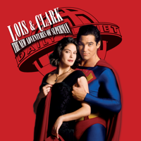 Tempus Fugitive - Lois &amp; Clark: The New Adventures of Superman Cover Art