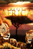 Amazing Africa - Timo Joh. Mayer & Benjamin Eicher