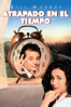 Atrapado En El Tiempo - Harold Ramis