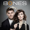 Festen  Bones, Saison 8 (VF)