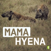 Télécharger Mama Hyena Episode 1