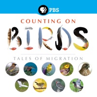 Télécharger Counting on Birds: Tales of Migration Episode 5