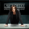 Law &amp; Order: SVU (Special Victims Unit), Season 16 - Law &amp; Order: SVU (Special Victims Unit) Cover Art