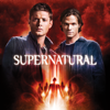Supernatural, Season 5 - Supernatural