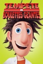 Affiche du film Tempete De Boulettes Geantes