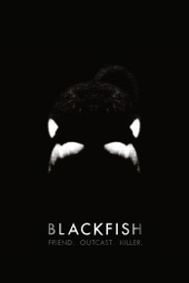 Poster for Blackfish by Gabriela Cowperthwaite
