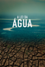A Lei da Água - Novo Código Florestal - André D'Elia