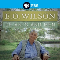 Télécharger E.O. Wilson: Of Ants and Men Episode 1