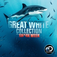 Great White Collection