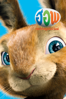 Hop - Tim Hill