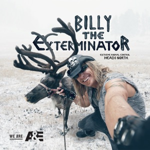 Billy the Exterminator, Season 7 - Episode 10