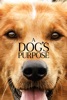 A Dog's Purpose App Icon