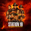 Station 19 - With So Little to Be Sure Of  artwork