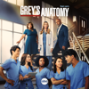 Grey's Anatomy - Grey's Anatomy, Season 19  artwork