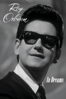 Roy Orbison: In Dreams - Barbara Orbison