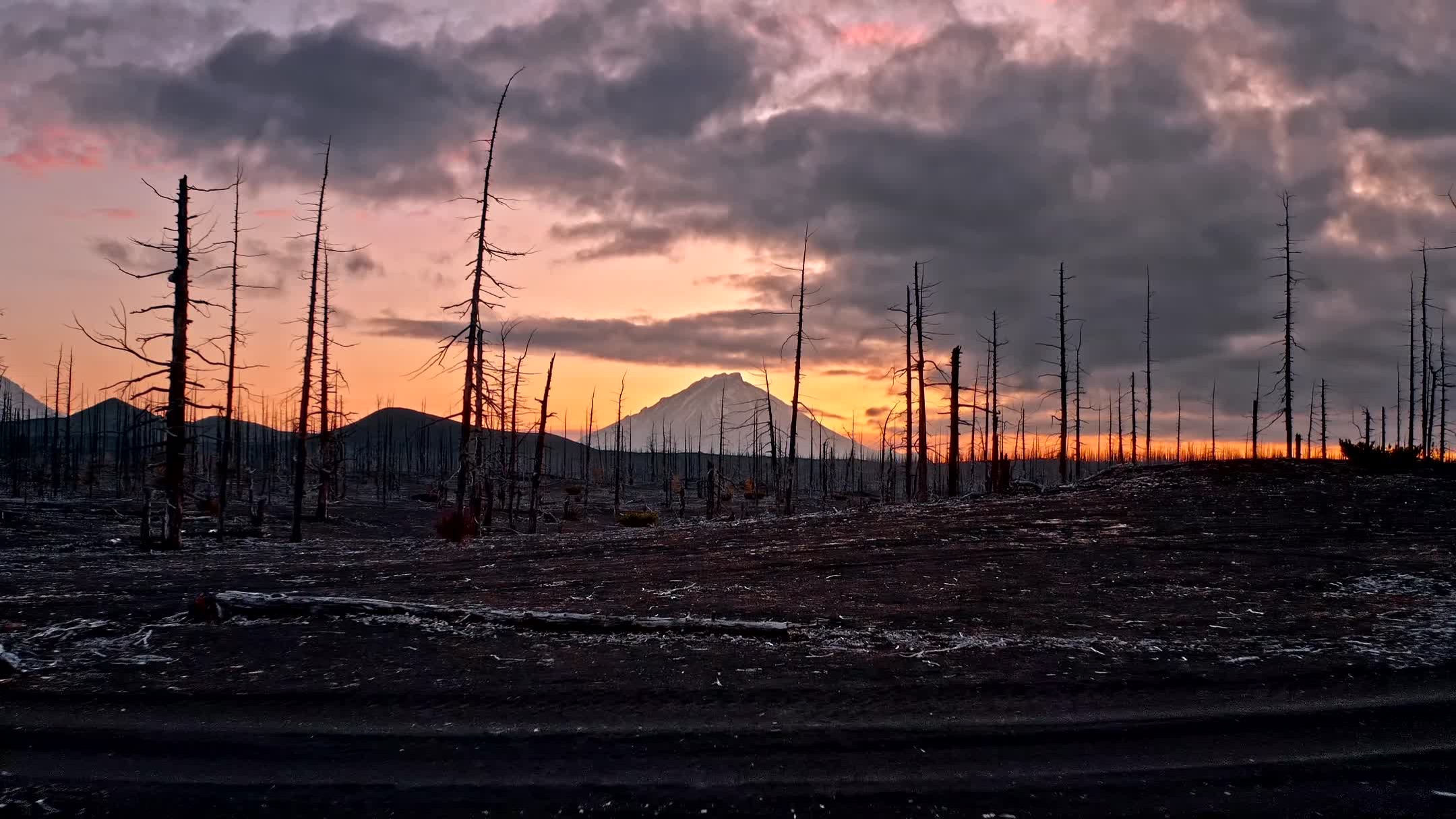 Farewell by The American Dollar