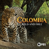 Télécharger Colombia Wild & Free, Season 1 Episode 2