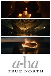 a-ha: True North