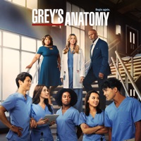 Télécharger Grey's Anatomy, Saison 19 (VOST) Episode 19