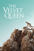 The Velvet Queen
