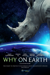 Why on Earth - Katie Cleary Cover Art