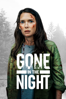 Gone in the Night - Eli Horowitz