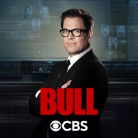 Bull: The Complete Series