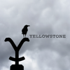 Phantomschmerz - Yellowstone