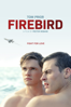 Firebird - Peeter Rebane
